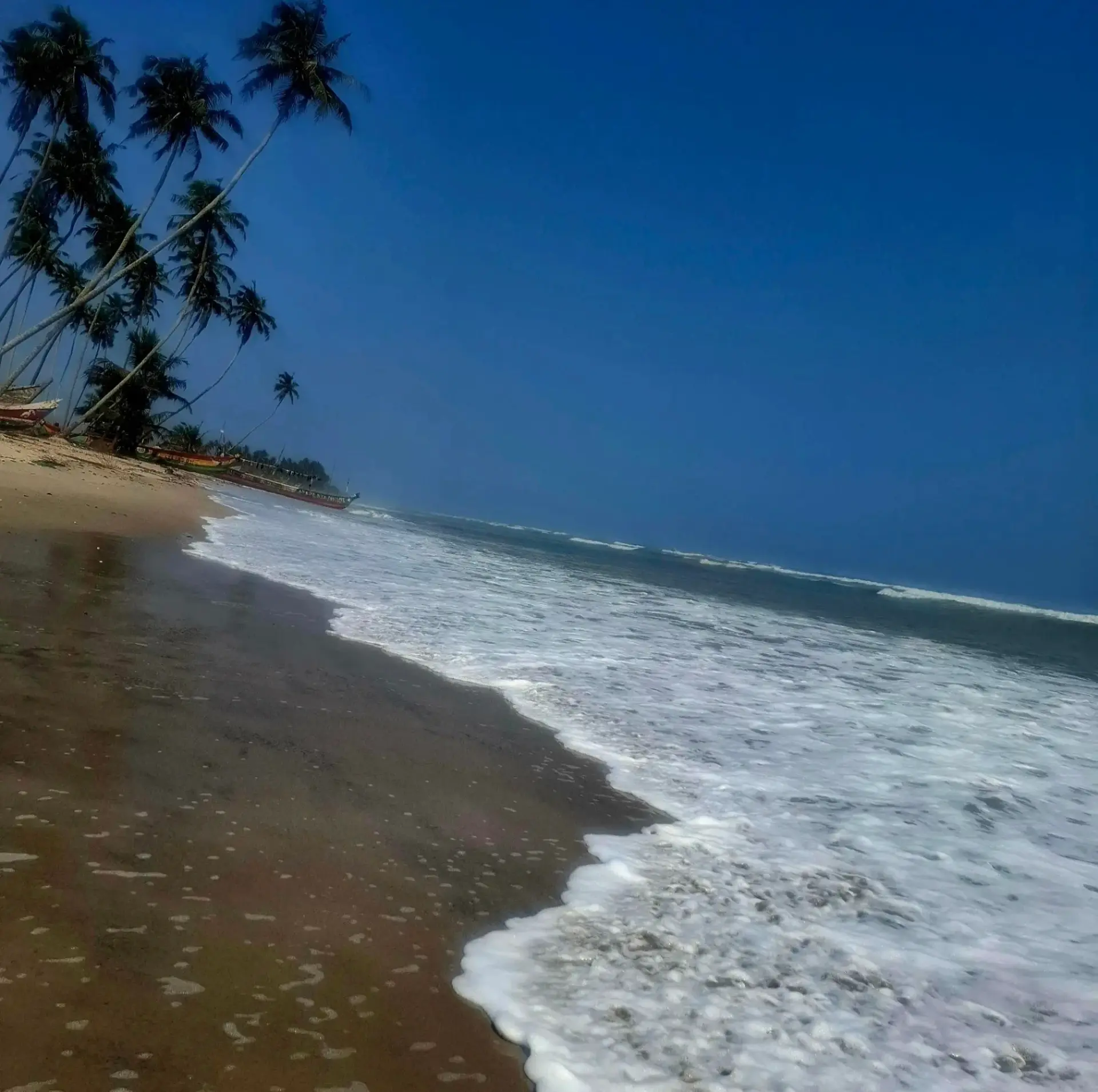 Golden, palm-fringed beach at Eikwe