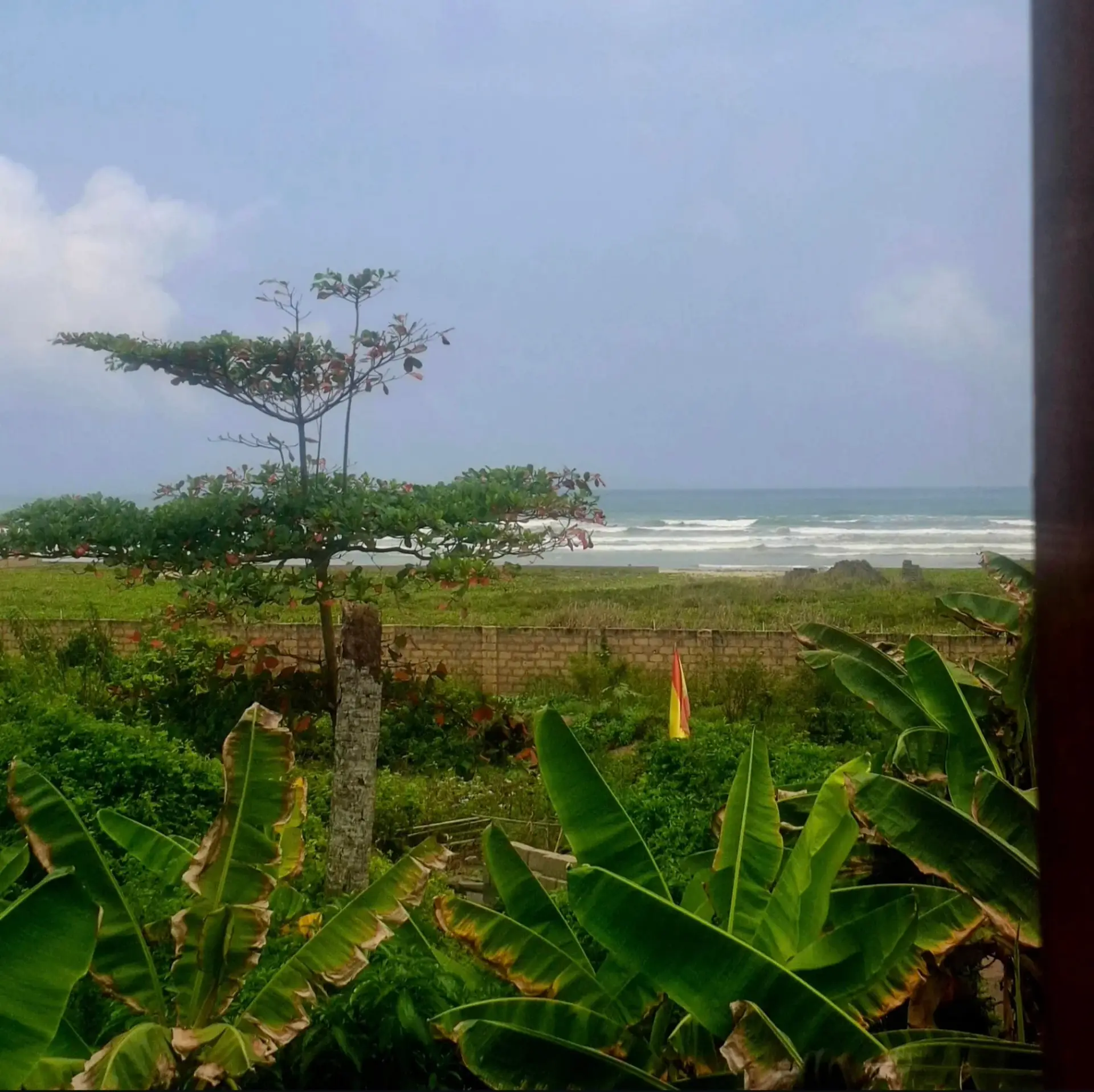 View of the Atlantic Ocean over a green coastal garden